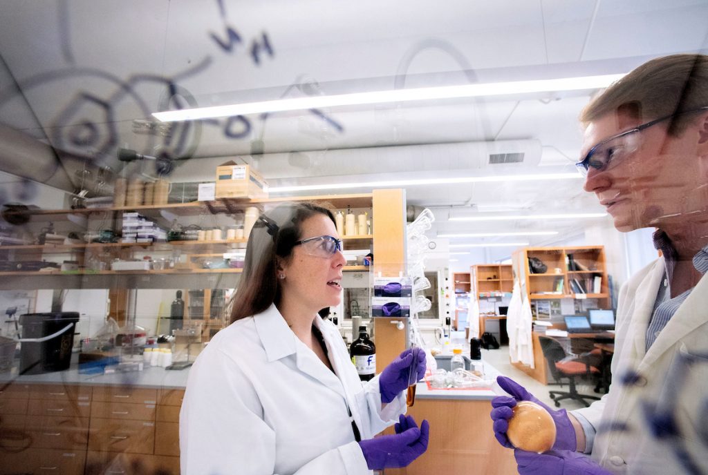 Jillian Dempsey, Assistant Professor of Chemistry talks with colleague in science lab